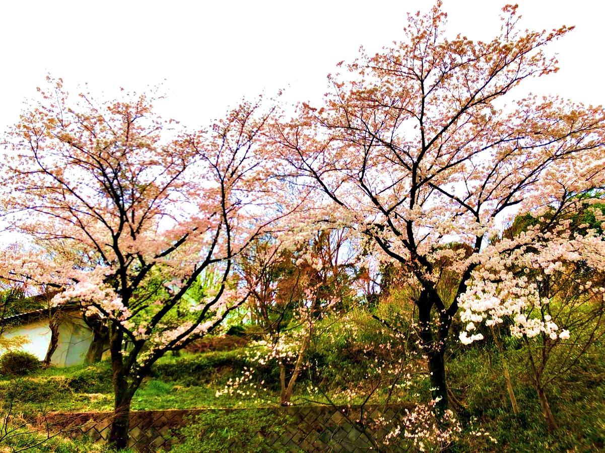 מלון Takasaki Kannonyama Onsen Kinzanso מראה חיצוני תמונה